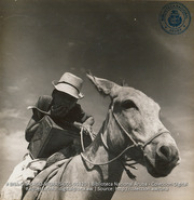 Aruban boy on his burro (#5320, Lago , Aruba, April-May 1944), Morris, Nelson