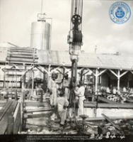 Help us describe this picture! (Human Interest / People at Work, LAGO, ca. 1961), Lago Oil and Transport Co. Ltd.