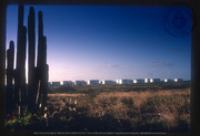 Help us describe this picture! (Storage Tanks, Various Types II, Lago, ca. 1982), Lago Oil and Transport Co. Ltd.
