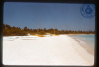 Help us describe this picture! (Aruba Scenes II, Lago, ca. 1982), Lago Oil and Transport Co. Ltd.