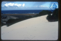 Help us describe this picture! (Aruba Scenes IV, Lago, ca. 1982), Lago Oil and Transport Co. Ltd.