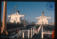 Help us describe this picture! (Lago Scenes, Lago, ca. 1982), Lago Oil and Transport Co. Ltd.