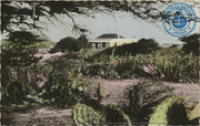 Country view (Postcard, ca. 1962)