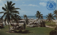 Garden near the Aruba Caribbean Hotel (Postcard, ca. 1962)
