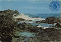 The thundering waves of Aruba's North Coast (Postcard, ca. 1965)