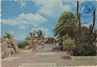 Gardens of the Aruba Caribbean Hotel and Casino, Palm Beach, Aruba, Netherlands Antilles (Postcard, ca. 1966)