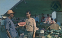 Fruit merchants on the market, Oranjestad, Aruba - Netherlands Antilles I (Postcard, ca. 1966)