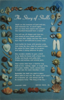 The Story of Shells (Postcard, ca. 1968) The study of shells is a very fascinating hobby. They have been collected from the beaches of the world since the dawn of history