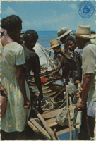 The sunny Caribbean. Native Fish Market (Postcard, ca. 1968)