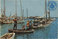 The Sunny Caribbean. Tropical fishing boats (Postcard, ca. 1969)