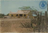 Typical Aruban 'cunucu house' with divi divi tree and cactus (Postcard, ca. 1969)