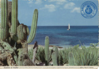 Seaview at Aruba (photo Hans W. Hannau) (Postcard, ca. 1970) Along Aruba's coast the blue Caribbean ocean shows the most wonderful colors, Hannau, Hans W., 1904- (Photographer)