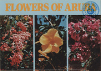 Flowers of Aruba (Postcard, ca. 1975)