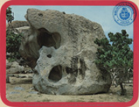 Mother Nature's Artistry in Rock on the picturesque island of Aruba (Postcard, ca. 1977)