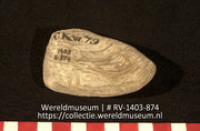 Bijl (Collectie Wereldmuseum, RV-1403-874)