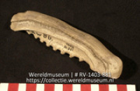 Beitel (Collectie Wereldmuseum, RV-1403-881)