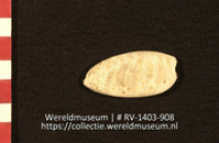 Sieraad of werktuig (Collectie Wereldmuseum, RV-1403-908)