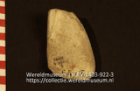 Lepel of schaal (Collectie Wereldmuseum, RV-1403-922-3)