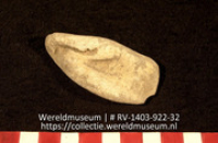 Lepel of schaal (Collectie Wereldmuseum, RV-1403-922-32)