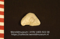 Lepel of schaal (Collectie Wereldmuseum, RV-1403-922-58)