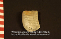 Lepel of schaal (Collectie Wereldmuseum, RV-1403-922-6)