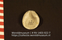 Lepel of schaal (Collectie Wereldmuseum, RV-1403-922-7)