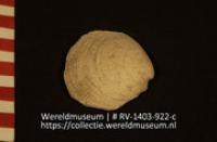 Lepel of schaal (Collectie Wereldmuseum, RV-1403-922-c)