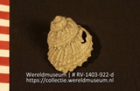 Lepel of schaal (Collectie Wereldmuseum, RV-1403-922-d)