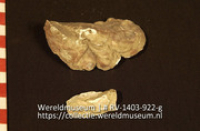 Lepel of schaal (Collectie Wereldmuseum, RV-1403-922-g)