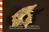 Lepel of schaal (Collectie Wereldmuseum, RV-1403-922-i)