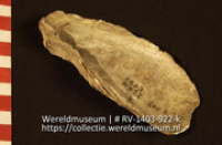 Lepel of schaal (Collectie Wereldmuseum, RV-1403-922-k)