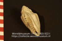 Lepel of schaal (Collectie Wereldmuseum, RV-1403-922-l)