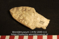 Werktuig van schelp (Collectie Wereldmuseum, RV-2049-111)
