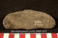 Werktuig van schelp (Collectie Wereldmuseum, RV-2049-1127)