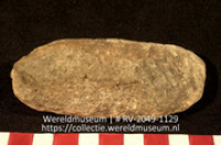 Werktuig van schelp (Collectie Wereldmuseum, RV-2049-1129)