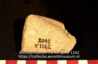 Schelp (Collectie Wereldmuseum, RV-2049-1142)