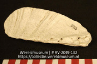Werktuig van schelp (Collectie Wereldmuseum, RV-2049-132)