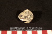 Schelp (Collectie Wereldmuseum, RV-2049-1355)