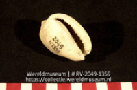 Kraal (Collectie Wereldmuseum, RV-2049-1359)