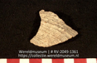 Schelp (Collectie Wereldmuseum, RV-2049-1361)