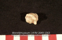 Schelp (Collectie Wereldmuseum, RV-2049-1363)