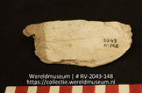 Werktuig van schelp (Collectie Wereldmuseum, RV-2049-148)