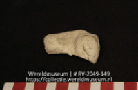 Schelp (Collectie Wereldmuseum, RV-2049-149)