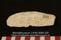 Werktuig van schelp (Collectie Wereldmuseum, RV-2049-150)