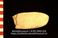 Werktuig van schelp (Collectie Wereldmuseum, RV-2049-259)