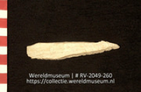 Schelp (Collectie Wereldmuseum, RV-2049-260)