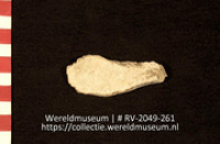 Schelp (Collectie Wereldmuseum, RV-2049-261)