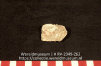 Schelp (Collectie Wereldmuseum, RV-2049-262)