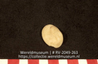 Schelp (Collectie Wereldmuseum, RV-2049-263)
