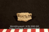 Wervel (Collectie Wereldmuseum, RV-2049-269)